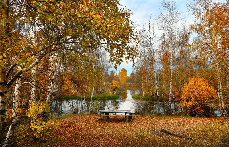 Посидим?photo preview