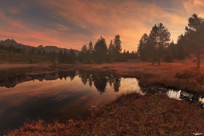 swiss Осень на болоте..photo preview