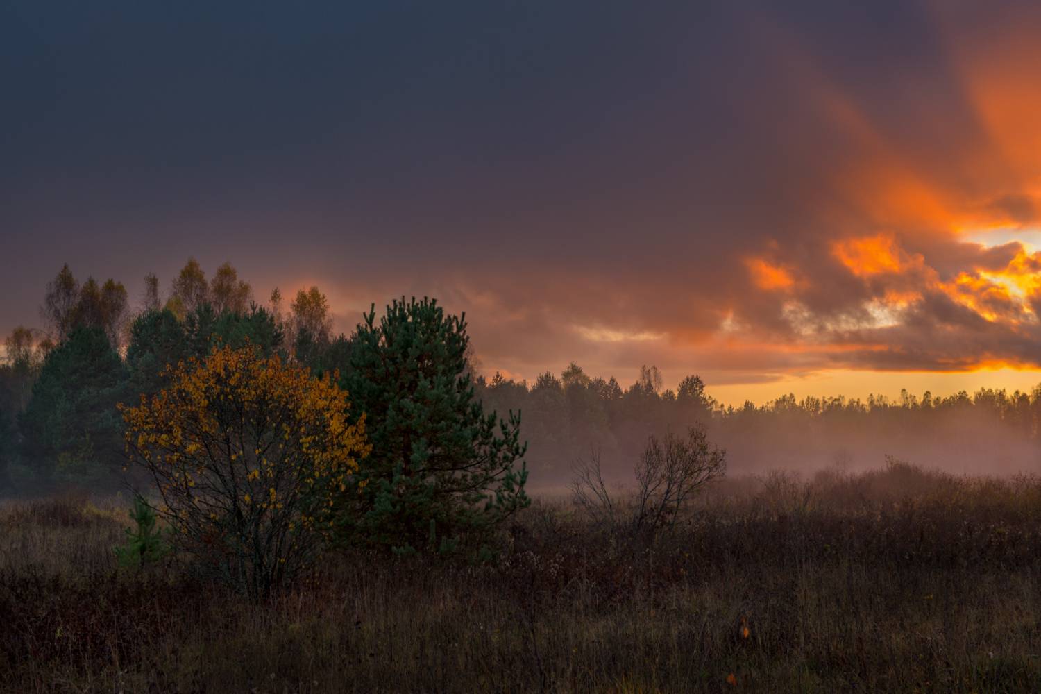 Закат после дождя. Автор: Алексеев Дмитрий осень закат туман тюряха речка большой холм, Алексеев Дмитрий