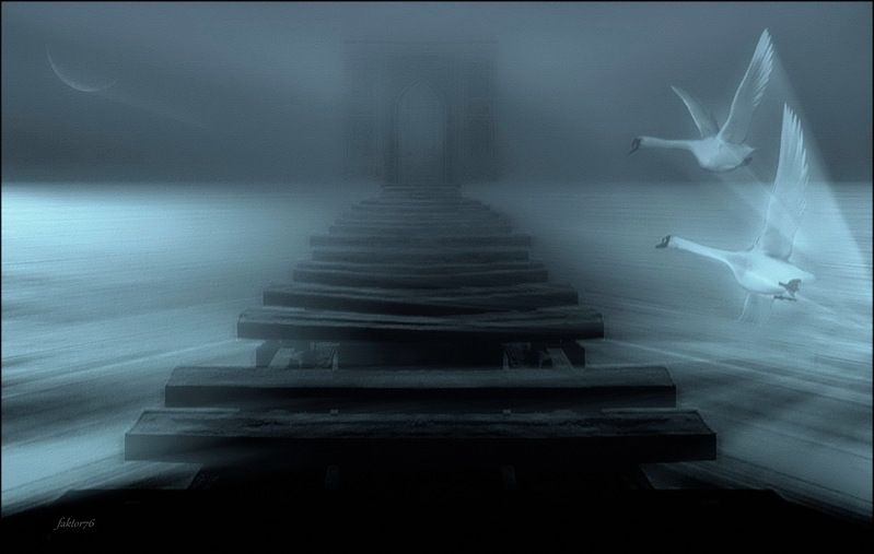 композитное, коллаж, остальное, разное, другое, прочее, иная точка зрения  фото превью