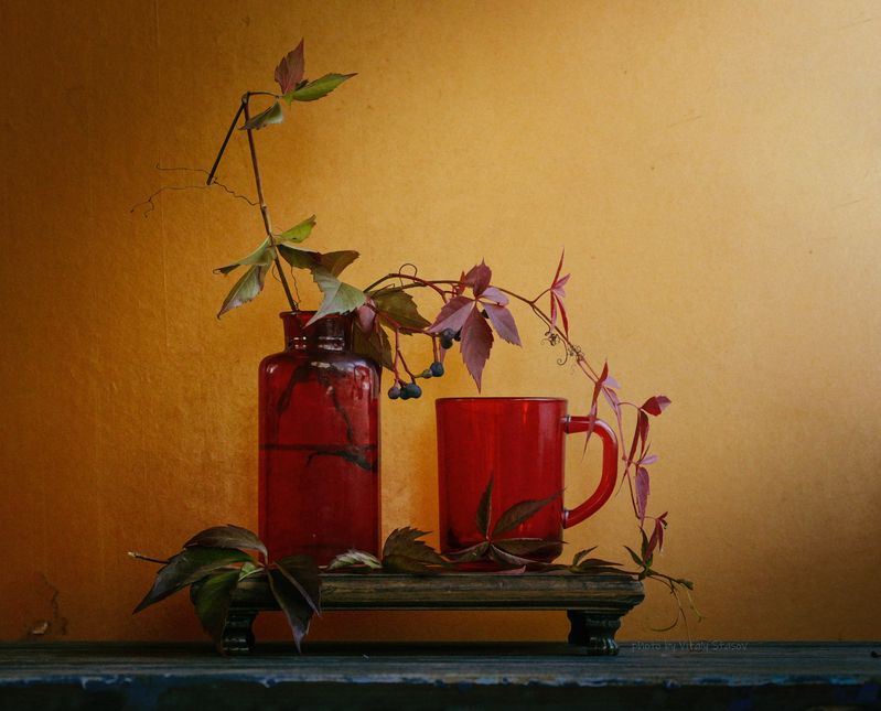 натюрморт, осенний, дикий, виноград, акварель, минимализм, оранжевый, желтый, красный, minimalism, still life Осенний дикий виноградphoto preview