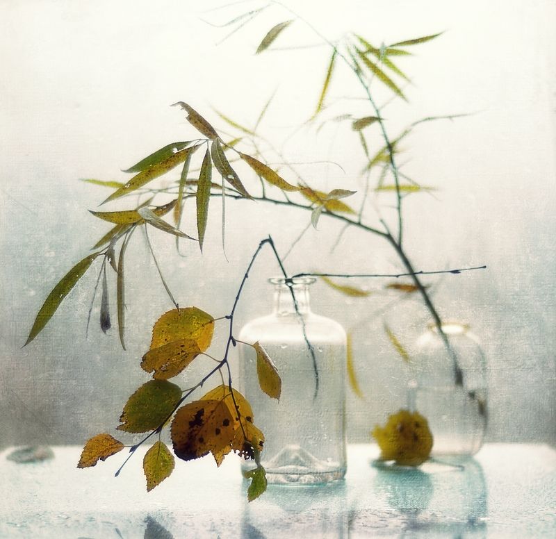 натюрморт,осень,листья,стекло осенний этюд...photo preview