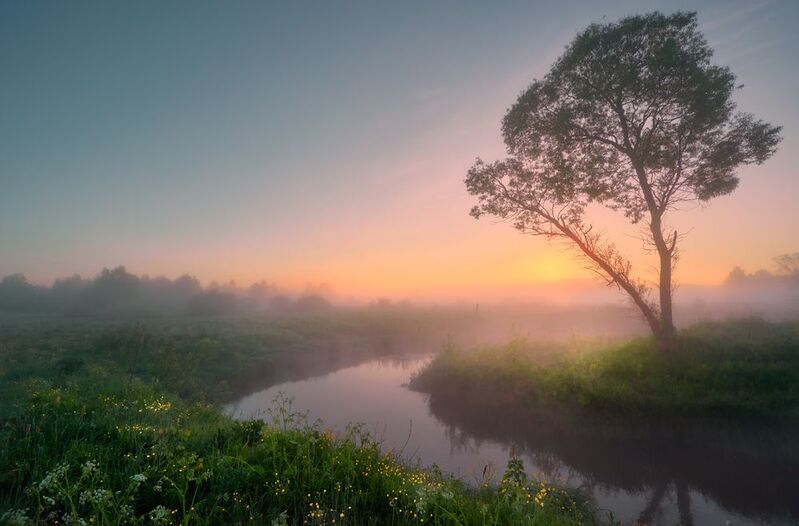 Рассвет в «саванне»... фото превью