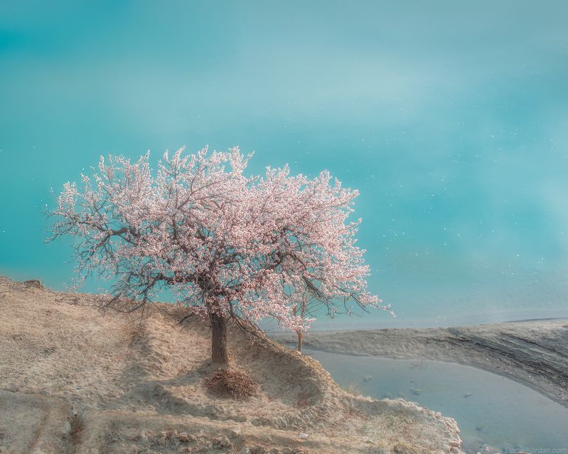 Pakistanphoto preview