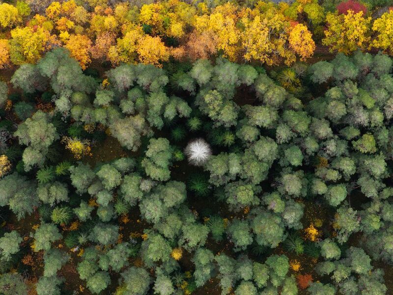 Валаам Валаамские фактуры фото превью