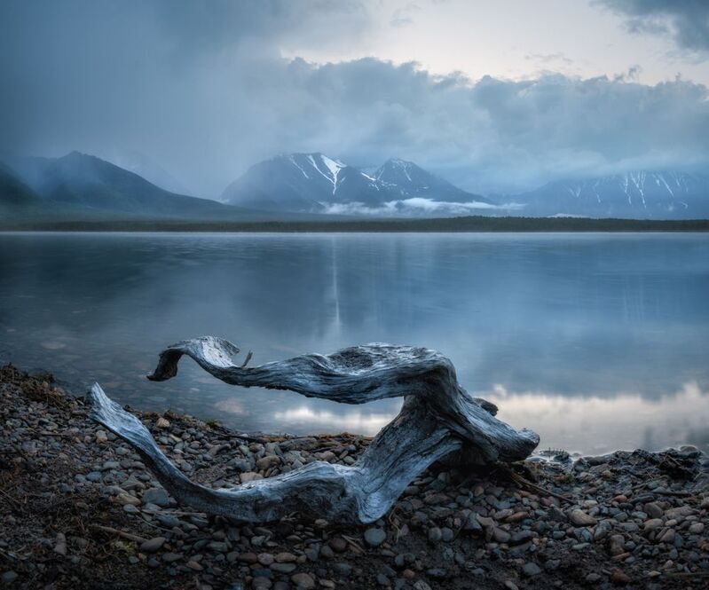 байкал Коряги Байкала.photo preview