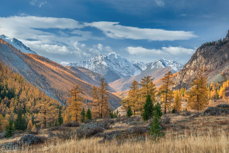алтай, горный алтай, природа, осень, золотая осень, горы, вершина двойная, северочуйский хребет ***photo preview