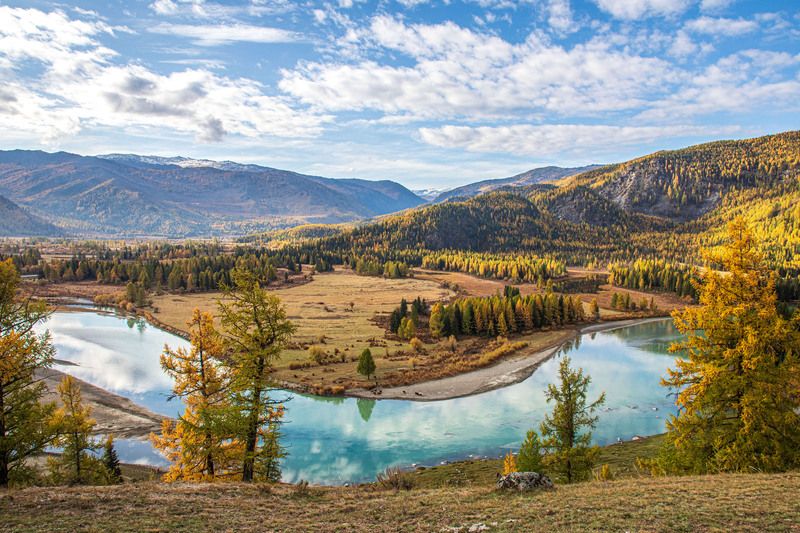 алтай Джазаторphoto preview