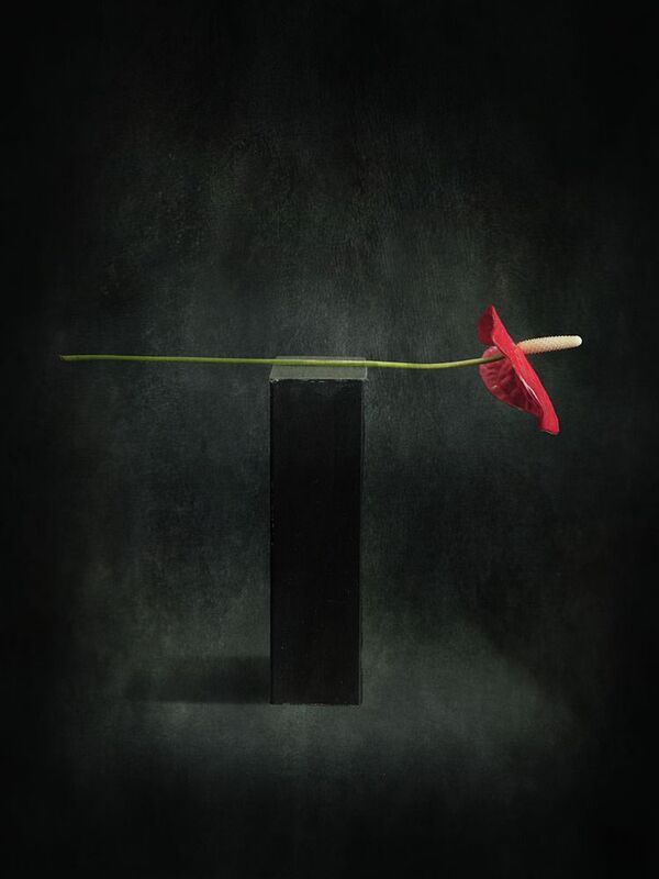 /// фото превью