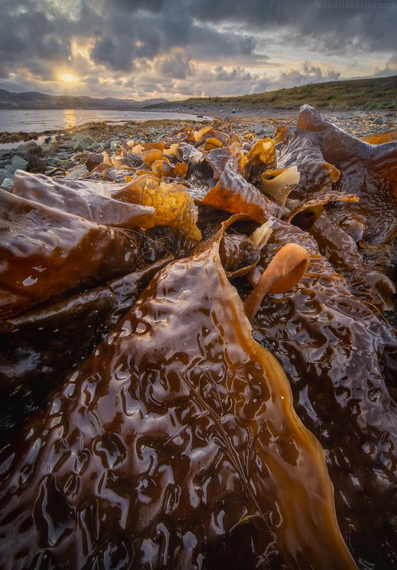 Полуостров Среднийphoto preview