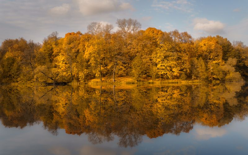 Осенние краски возле домаphoto preview