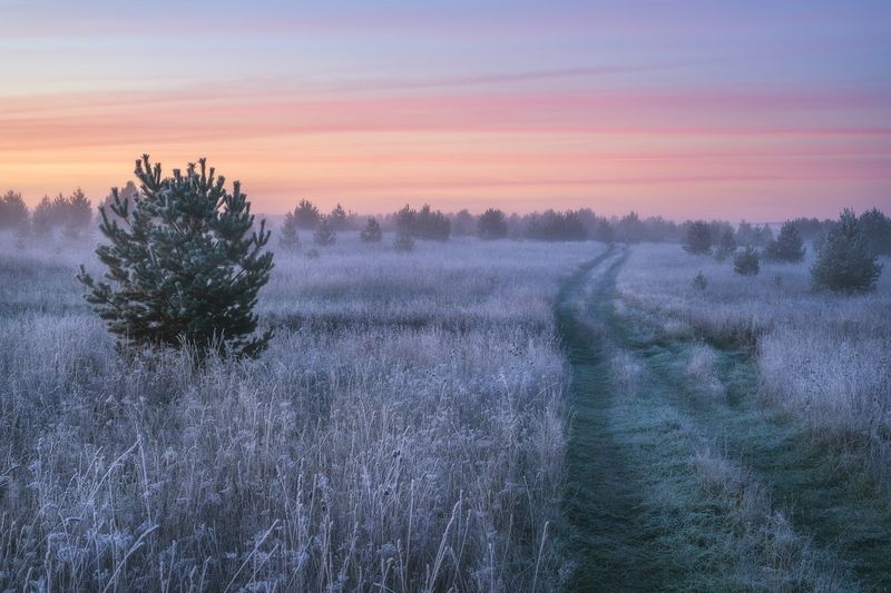 Утренний иней после заморозкаphoto preview