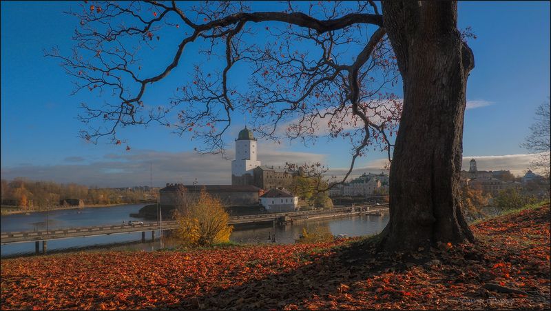 Осенний Выборгphoto preview