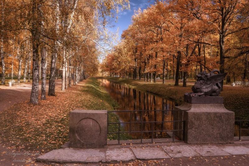 осень, осенний пейзаж, парки, мосты photo preview