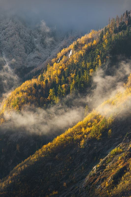 Ритмы Алтая фото превью