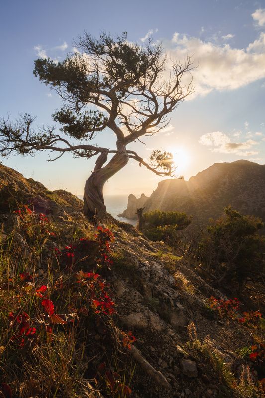 Живописный закат на горе Орёлphoto preview