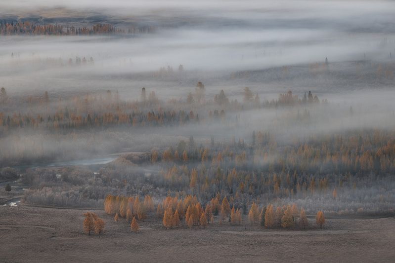 Утро в Курайской степи фото превью