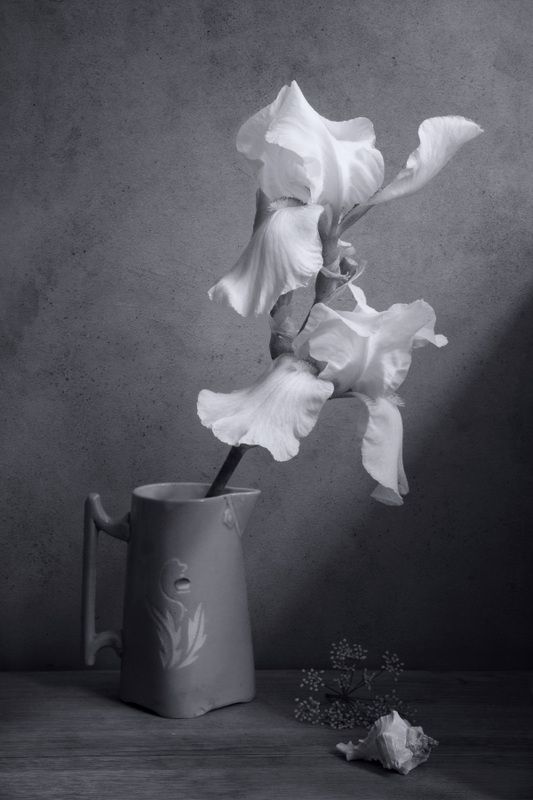 Белый ирисphoto preview