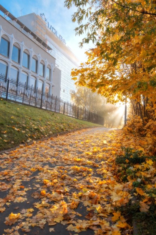 осень, листва, восход, город По улочкам родного города...photo preview