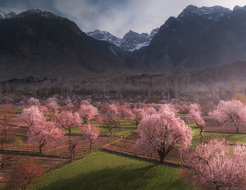 Pakistanphoto preview