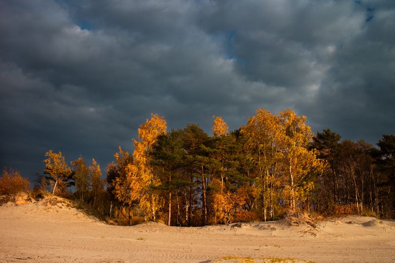 Осенние дюны фото превью