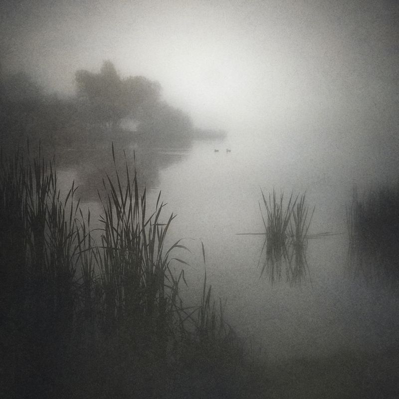 По эту сторону тумана.photo preview