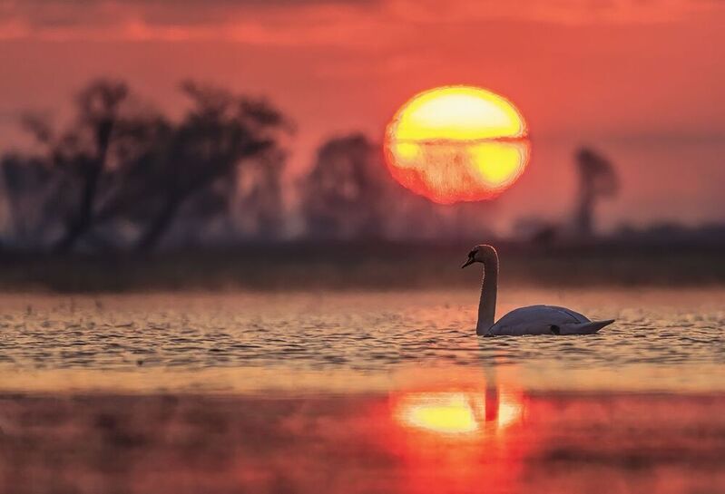 O wschodziephoto preview