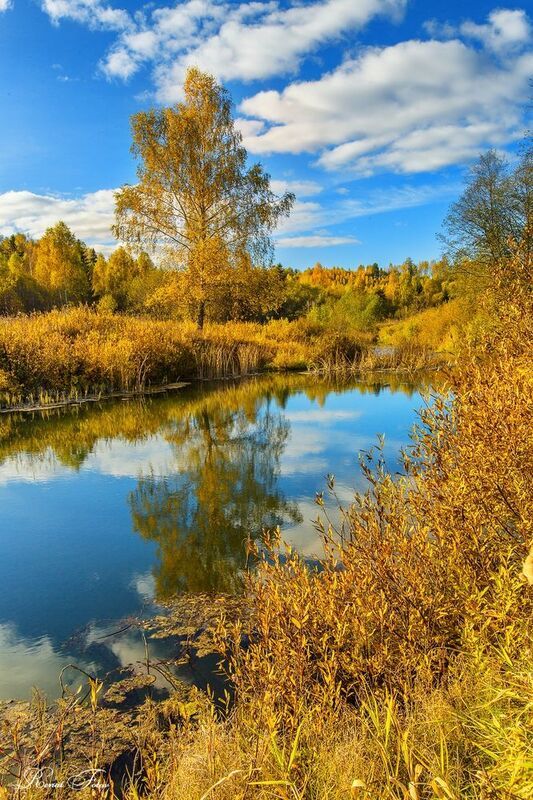 Костромской край.photo preview