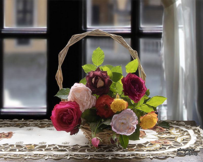натюрморт, цветы, розы,  Натюрморт с розами у окнаphoto preview