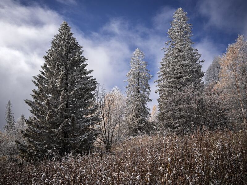 зюраткуль, южный урал, челябинская область, урал Дорога на Зюраткуль фото превью
