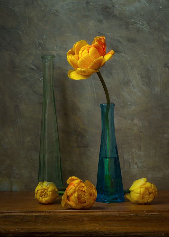 Жёлтые цветы.photo preview