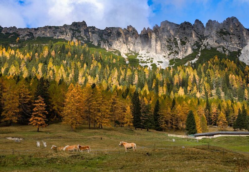 Осень в Доломитахphoto preview