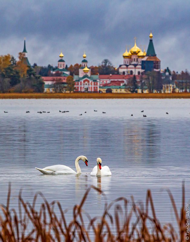 валдай Сладкая парочкаphoto preview