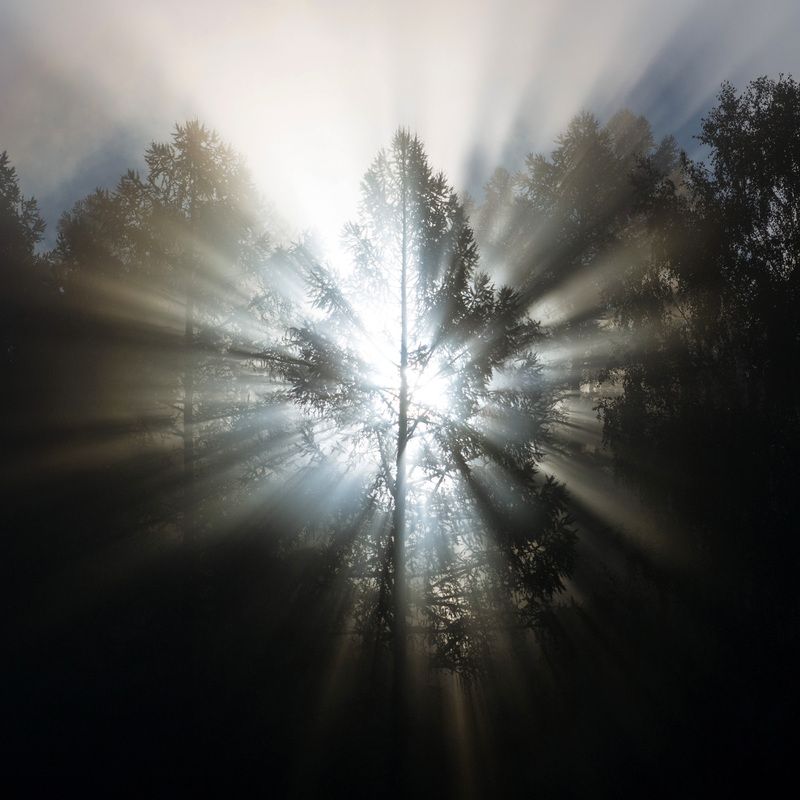 Утроphoto preview