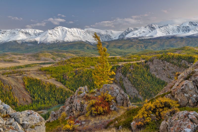 алтай, курайская степь, курайский хребет Краски осени фото превью