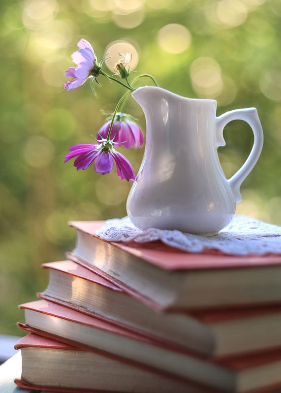 космея, книги, мысли,беларусь, ирина горюкина , объектив гелиос ,стихи дмитрий кравченко За кадром фото превью