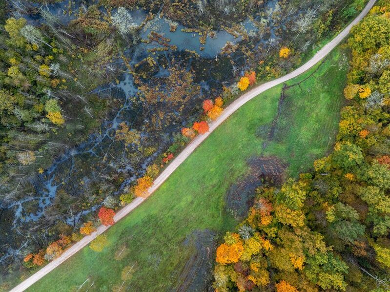 Осень наступаетphoto preview