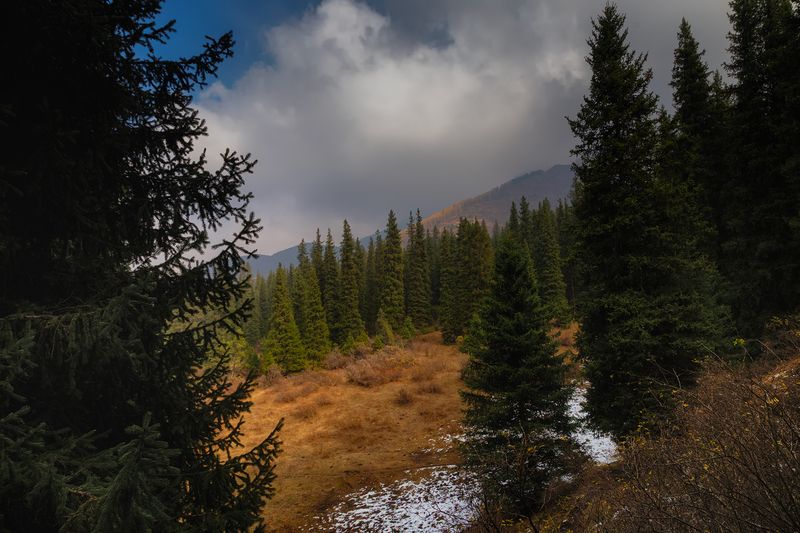 кыргызстан, шамшы Картины октябряphoto preview