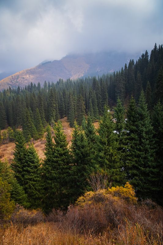 кыргызстан, шамшы Картины октябряphoto preview