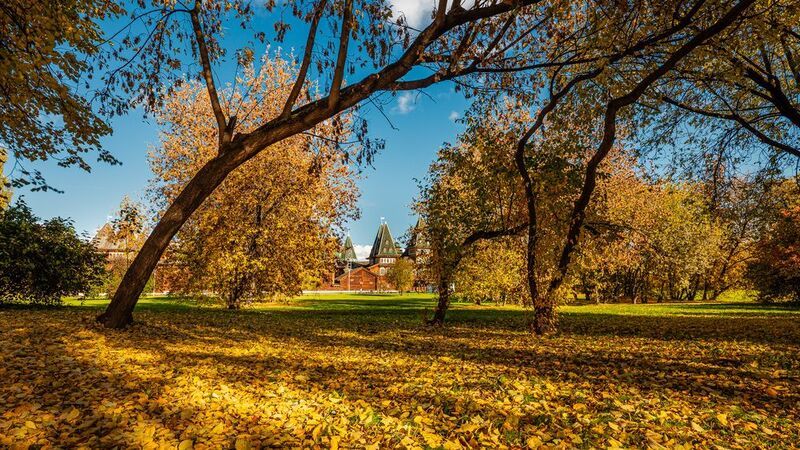 Парк, Осень, Коломенское, Листва, Москва Осень в паркеphoto preview