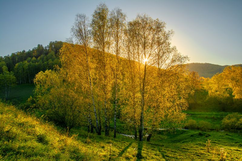 золотая осень Золото осениphoto preview