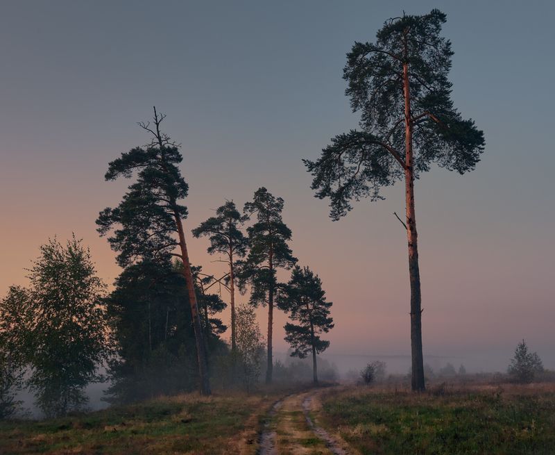 В туман ... фото превью