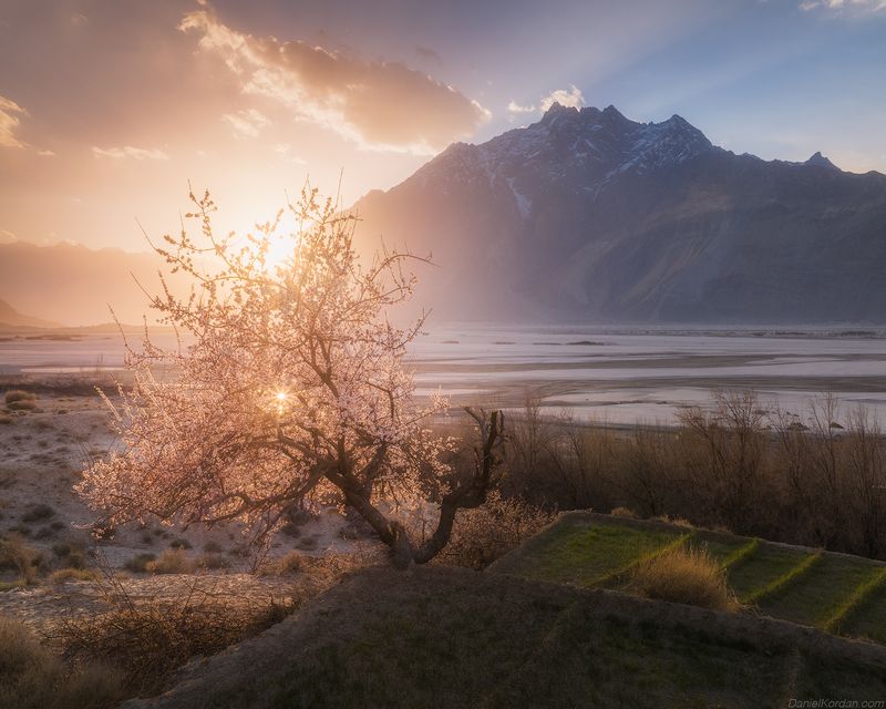 Pakistanphoto preview