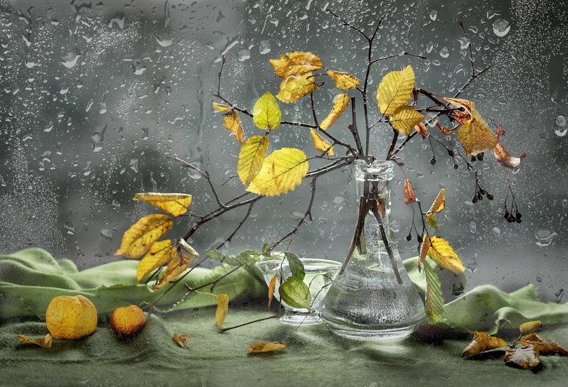 природа, осень, листья, яблоко, капли Осенний букетphoto preview