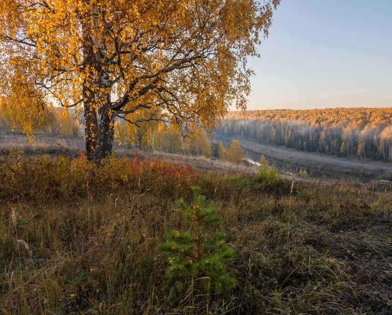 Золотые берега реки Немдаphoto preview