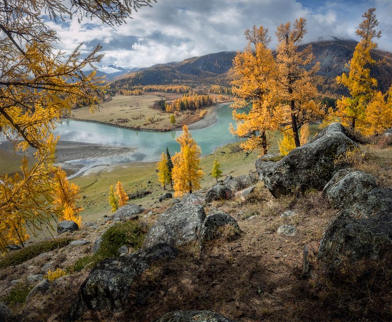 алтай, осень, река, лиственницы, камни, краски Краски Алтайской осени фото превью