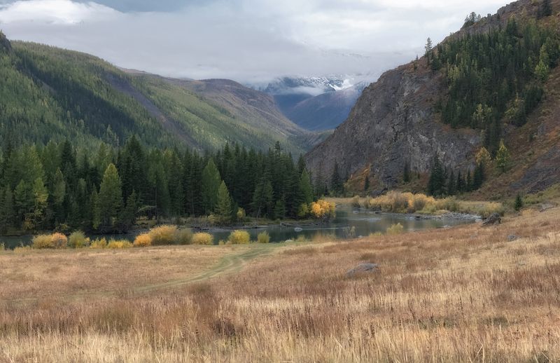 алтай, северо-чуйский хребет, горы, лиственницы, чуя, осень Осенняя Чуяphoto preview
