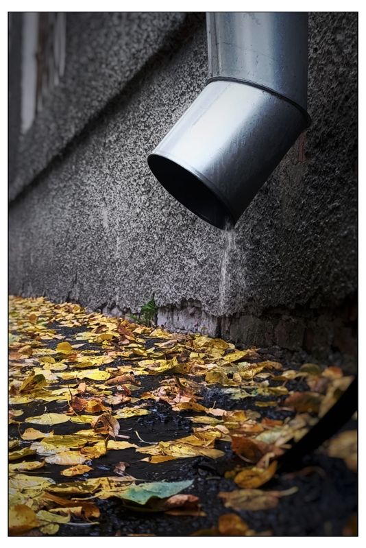 Настроение - осень... (2)photo preview