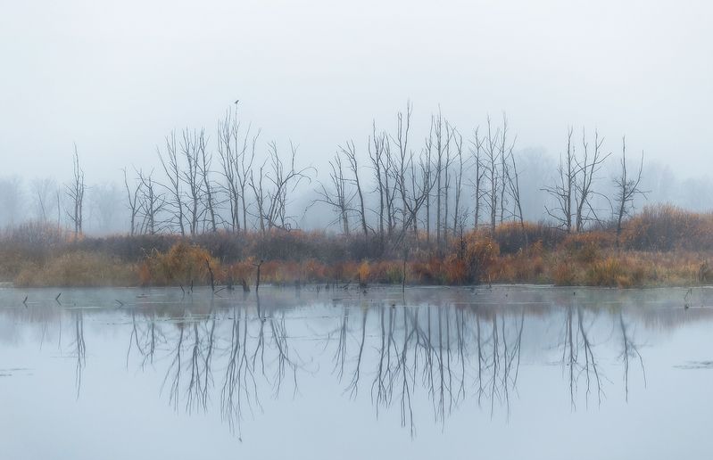 Осенние зарисовкиphoto preview