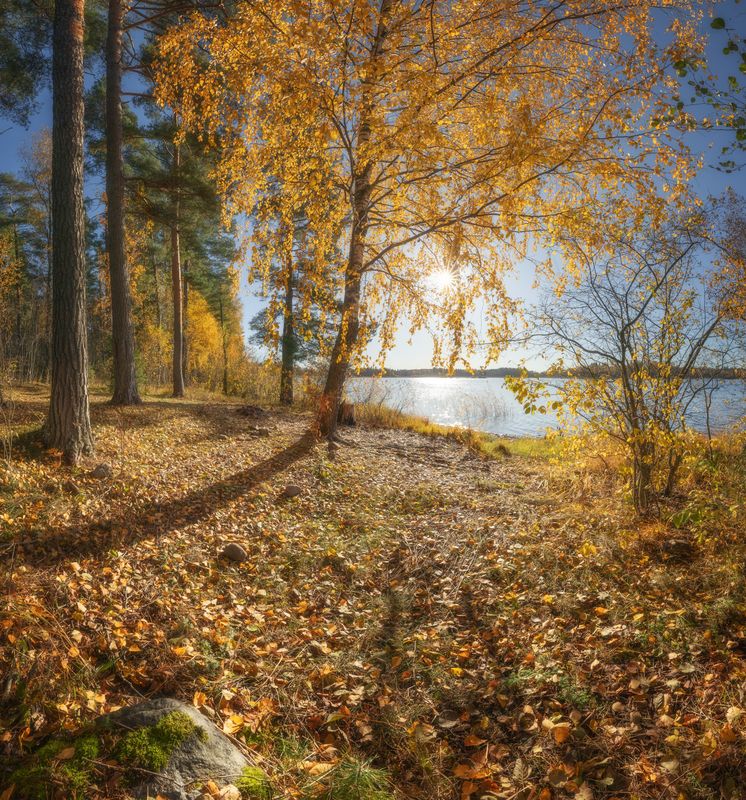 осень, ленобласть, вуокса ***photo preview